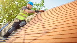 Best Roof Maintenance and Cleaning  in Elkton, VA