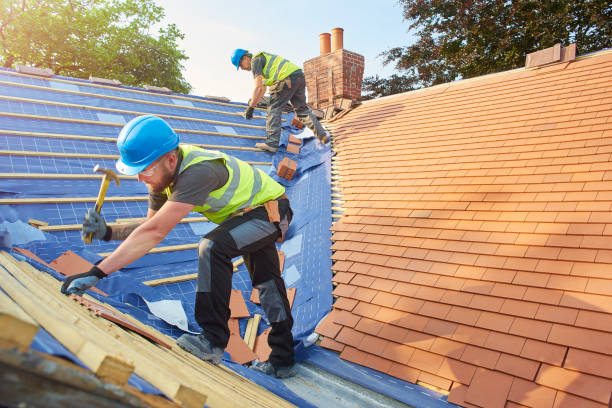 Best Roof Ventilation Installation  in Elkton, VA